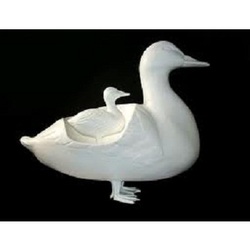 Fiberglass Duck